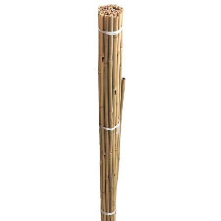 Bamboo Canes Bulk Bundle 150cm/5 Foot 20pk