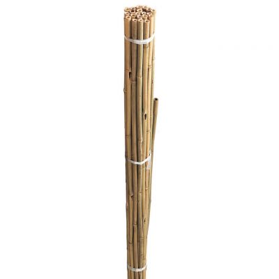Bamboo Canes Bulk Bundle 210cm/7 Foot 10pk