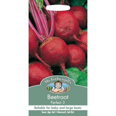 BEETROOT Perfect 3 - image 1