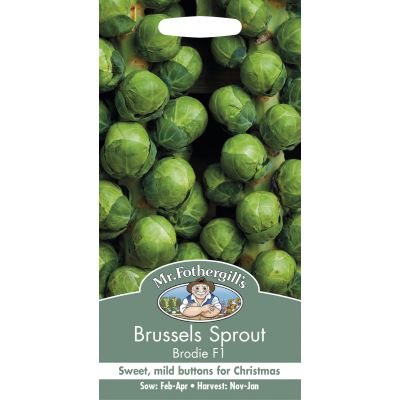 BRUSSELS SPROUT Brodie F1 - image 1