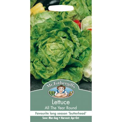 LETTUCE All The Year Round - image 1