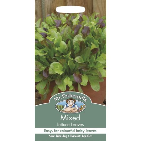 MIXED Lettuce Leaves - image 1