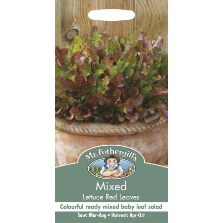 MIXED Lettuce Red Leaves - image 1