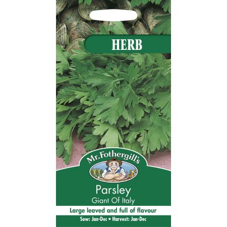 PARSLEY Giant of Italy - image 1