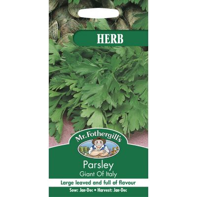 PARSLEY Giant of Italy - image 1