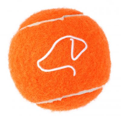 Pooch 6.5cm Tennis Balls - 3 Pack - image 3