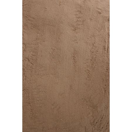 RHS Horticultural Silver Sand - image 3