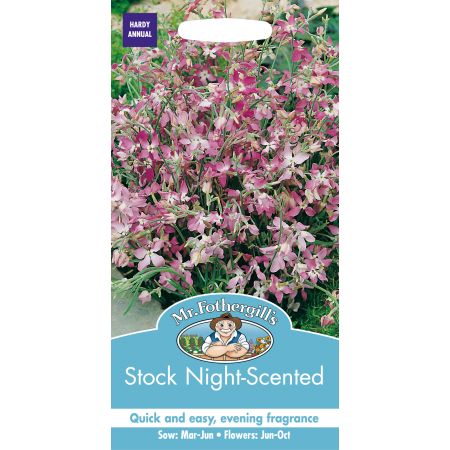 STOCK NIGHT SCENTED - image 1